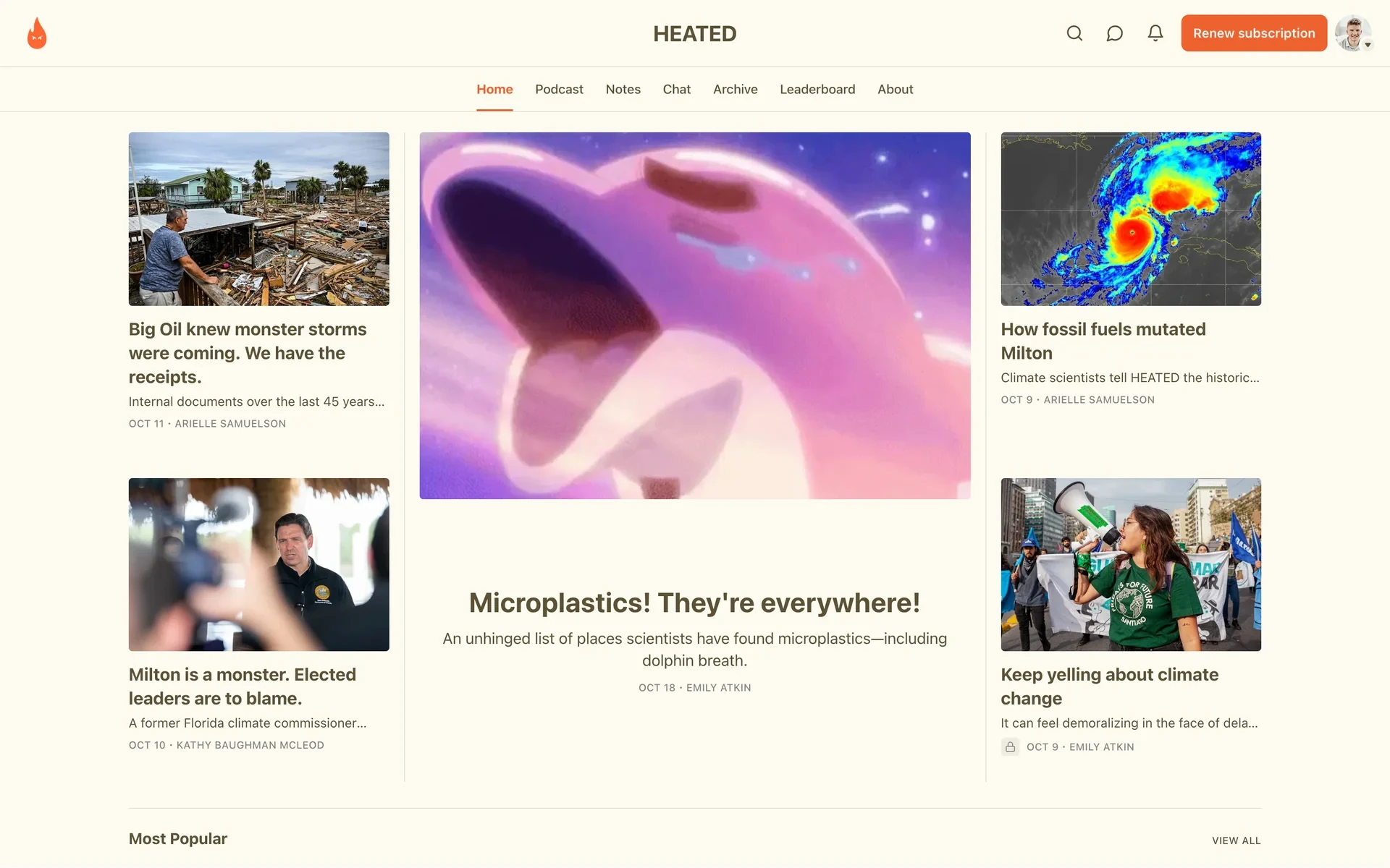 Substack publication homepage after cancelling, with an orange "Renew subscription" button in the top-right of the header