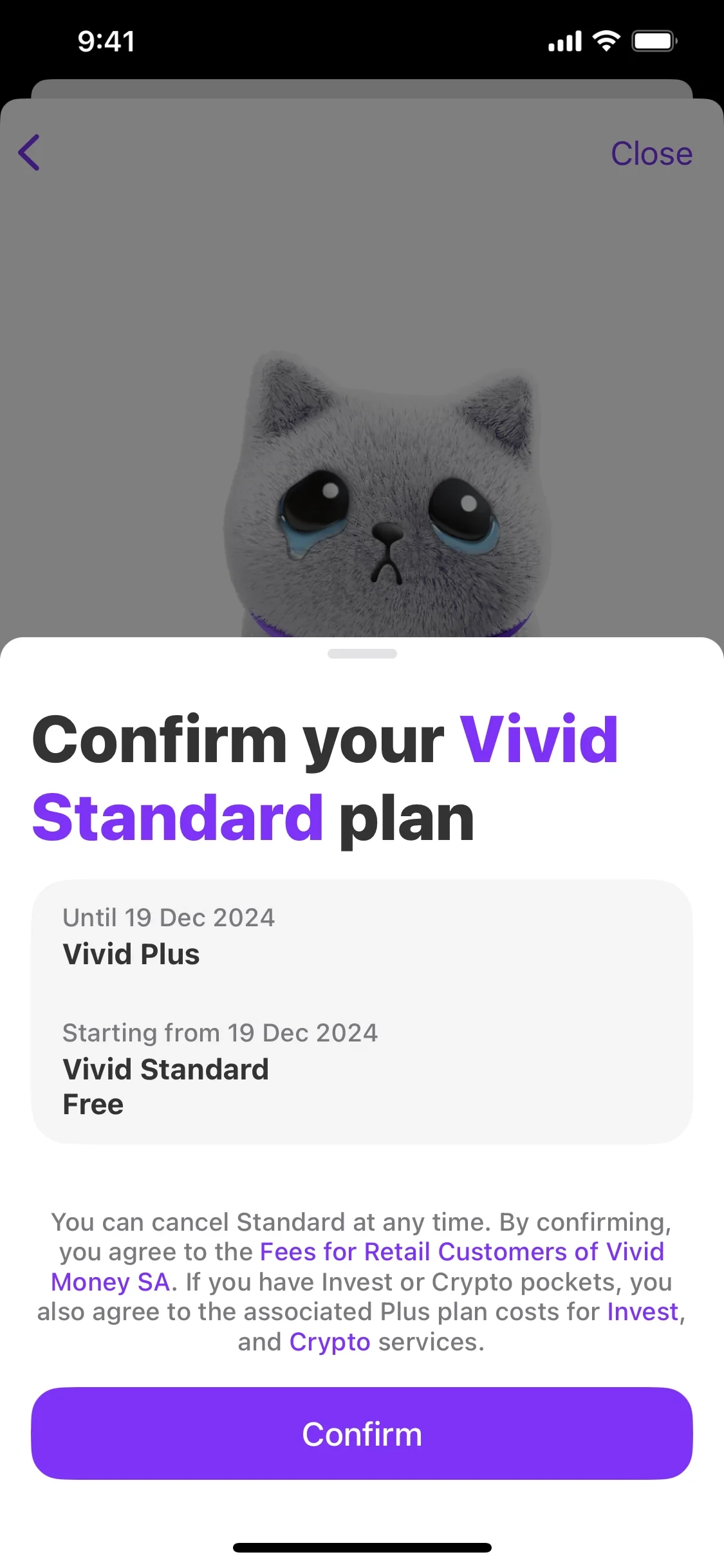 Confirm your Vivid Standard plan sheet showing Until 19 Dec 2024 Vivid Plus and Starting from 19 Dec 2024 Vivid Standard Free, with fee links and a purple Confirm button