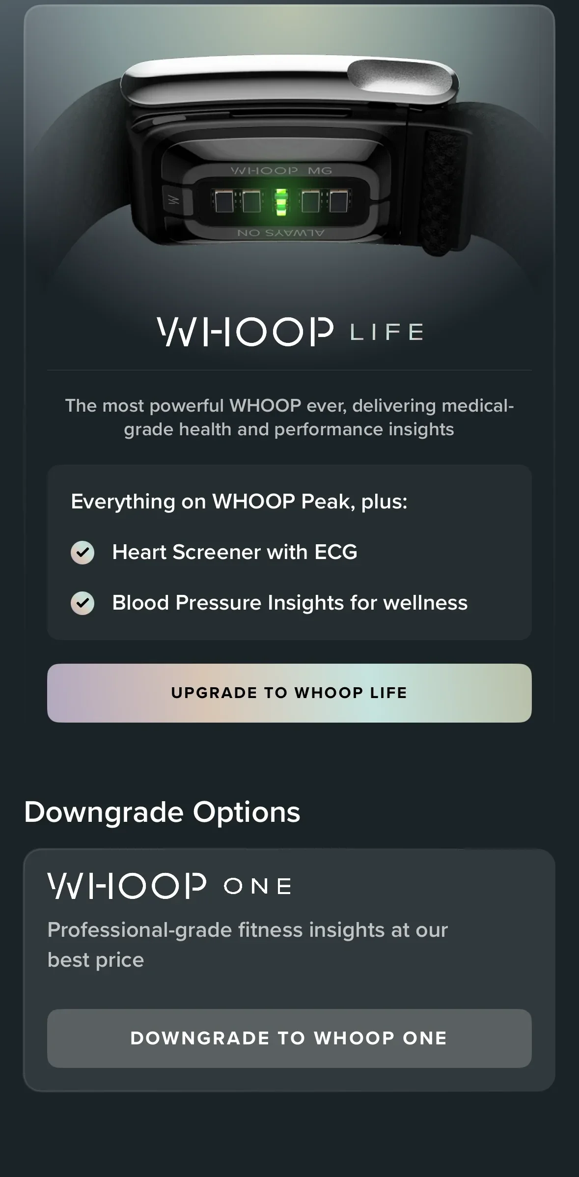 Lower half of the WHOOP Membership & Billing screen: a WHOOP Life upgrade card with an Upgrade to WHOOP Life button, then a Downgrade Options section with a WHOOP One card and a Downgrade to WHOOP One button